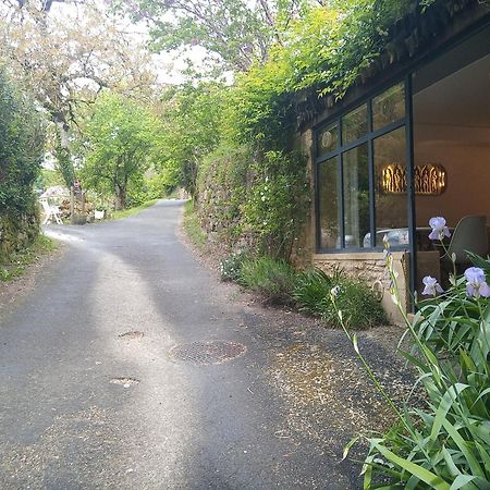 Chambre Du Sabotier - Studio Troglodytique - A 100 M Baignade En Riviere - Location De Canoe - Circuits Cyclo - Aire De Pique-Nique - 3 Restaurants Castelnaud La Chapelle Exterior photo